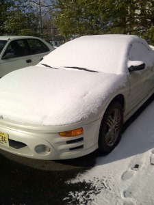 Car Covered in Snow
