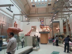 Museum 4